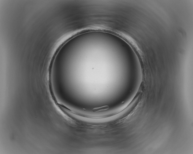 X0000111191335200907011404