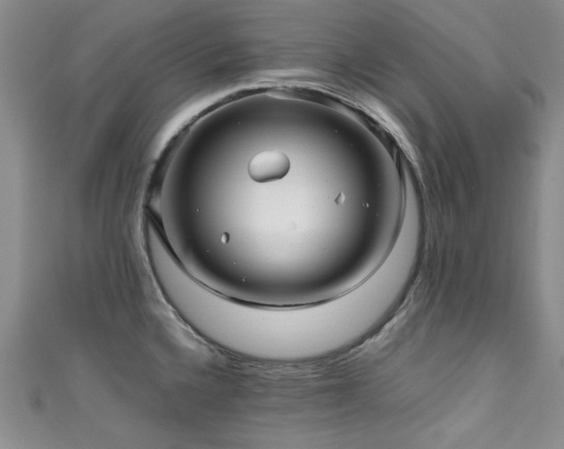 X0000111191336200907011404