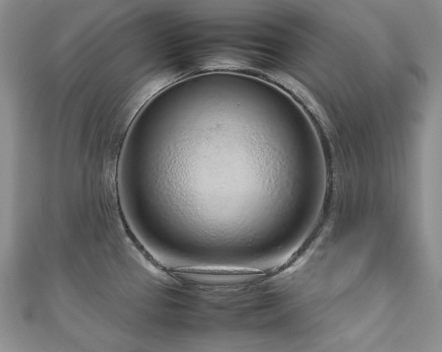 X0000111191337200907011404