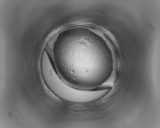 X0000111191338200907011404