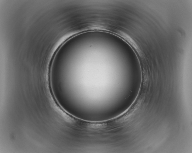 X0000111191339200907011404