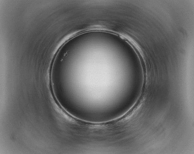 X0000111191341200907011404