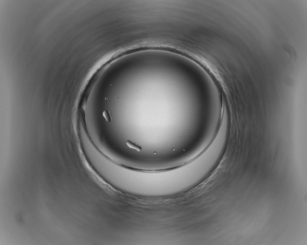 X0000111191342200907011404