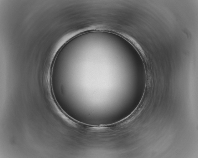 X0000111191343200907011404