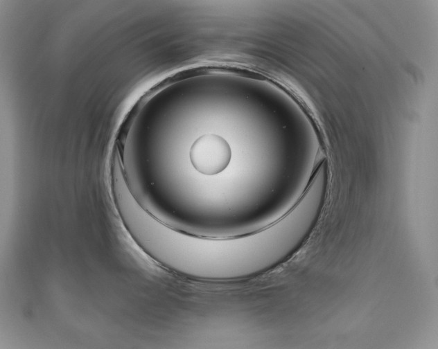 X0000111191344200907011404