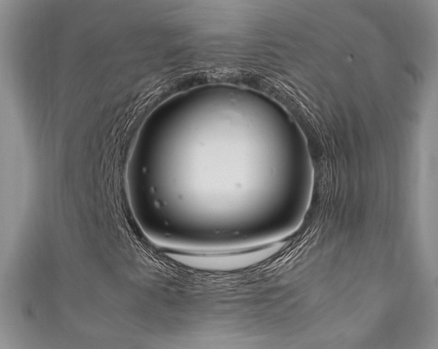 X0000111191345200907011403