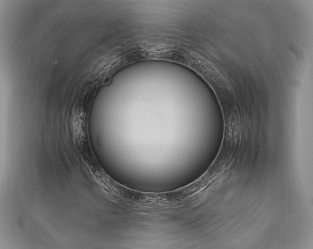 X0000111191346200907011403