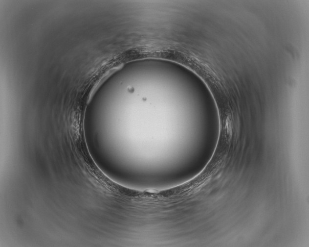 X0000111191348200907011403