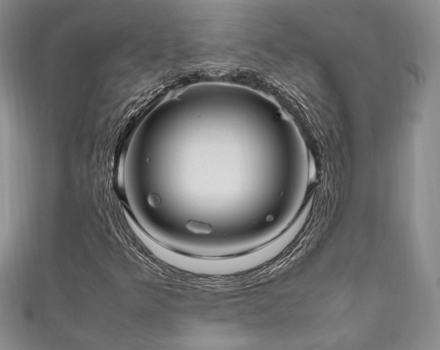 X0000111191349200907011403