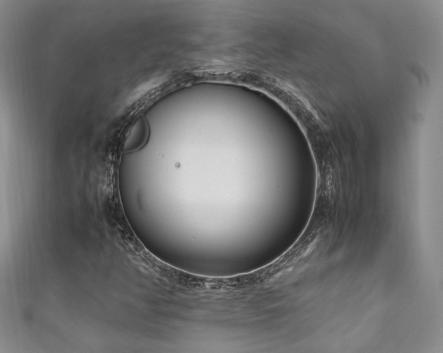 X0000111191350200907011403