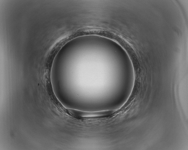 X0000111191351200907011403