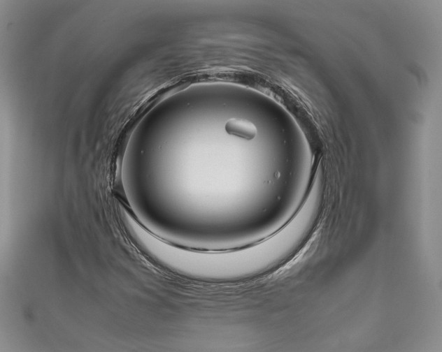 X0000111191353200907011403