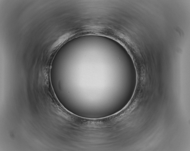 X0000111191354200907011403