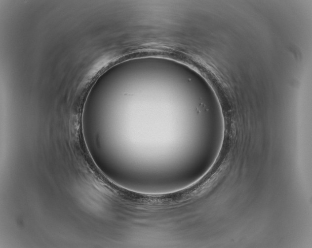 X0000111191355200907011403