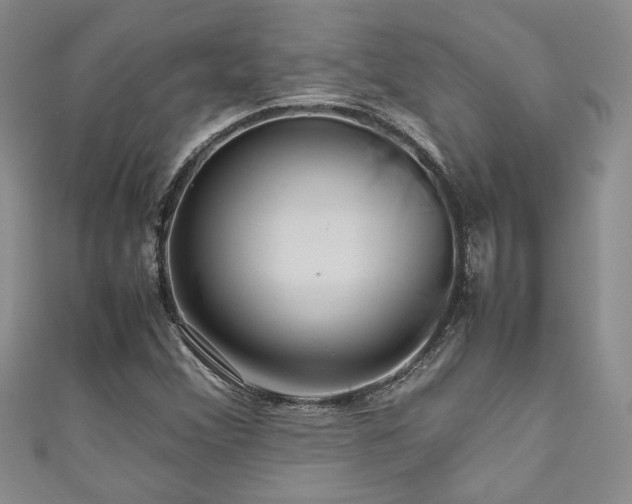 X0000111191356200907011403