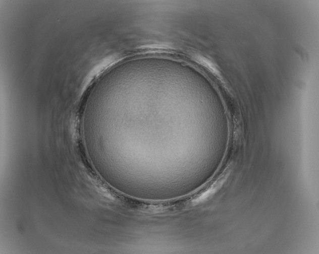 X0000111191357200907011403