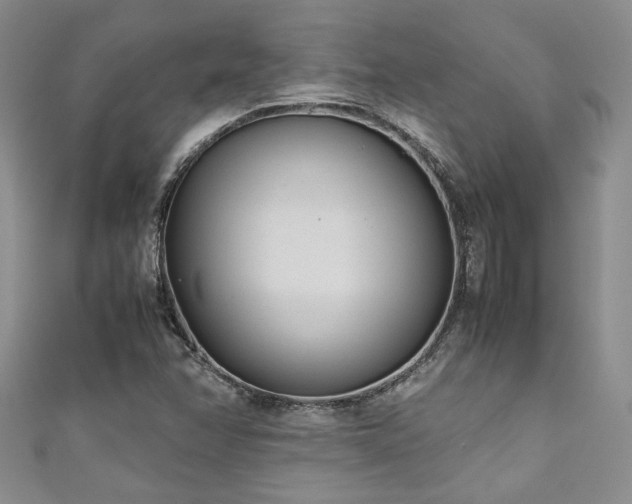 X0000111191358200907011403