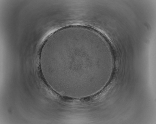 X0000111191359200907011403