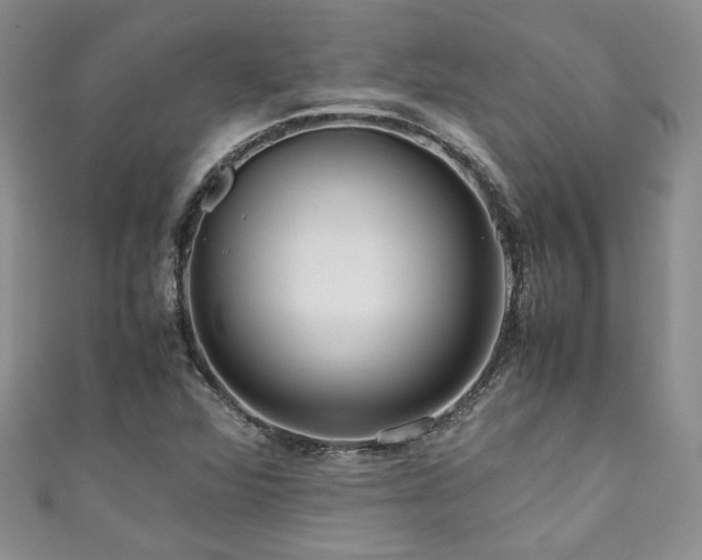 X0000111191360200907011403