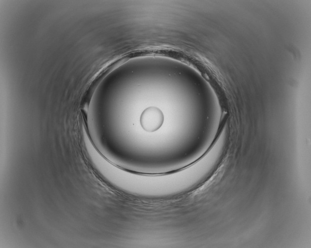 X0000111191361200907011403