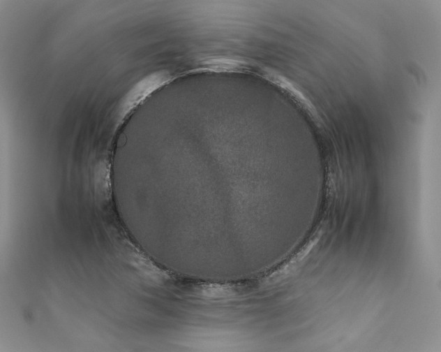 X0000111191362200907011403