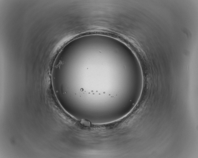 X0000111191363200907011403