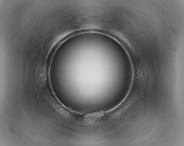 X0000111191364200907011403