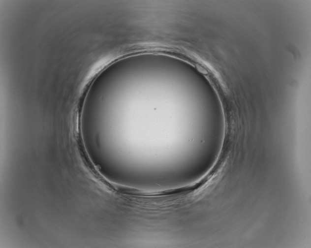 X0000111191365200907011403