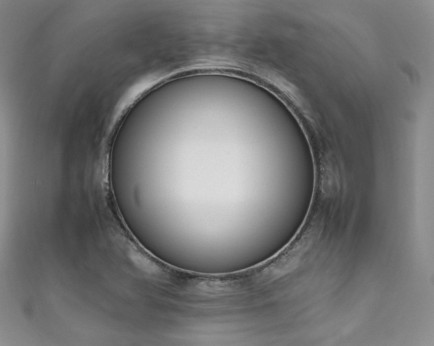 X0000111191366200907011403