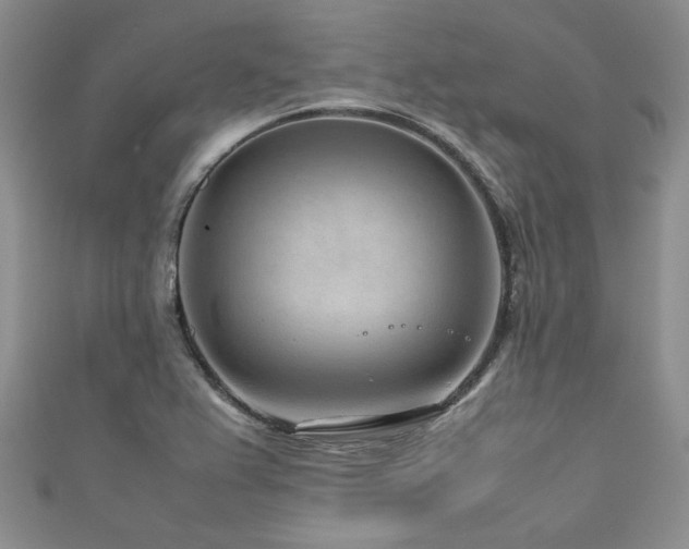 X0000111191367200907011403