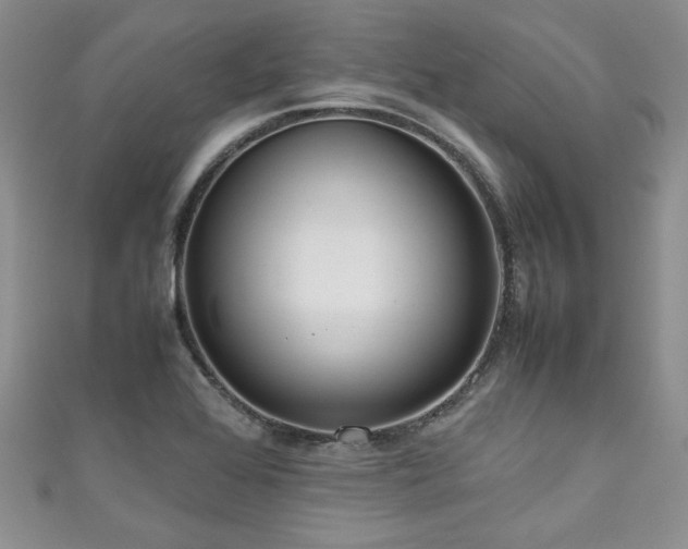 X0000111191368200907011403