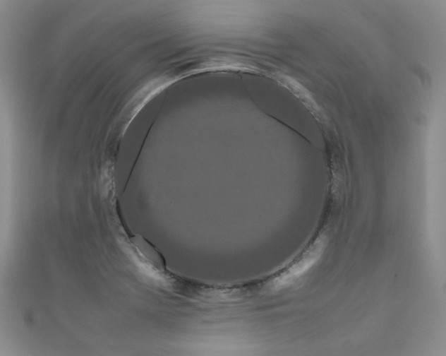 X0000111191369200907011403