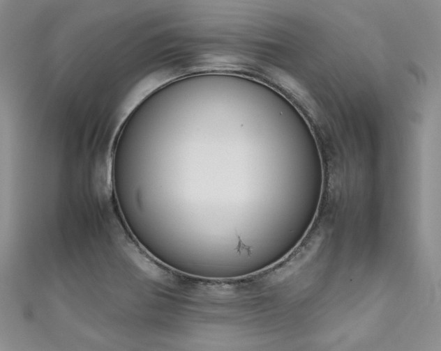 X0000111191370200907011403