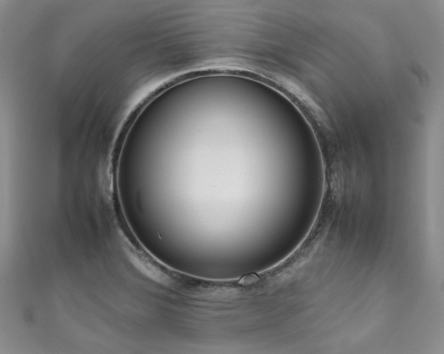 X0000111191372200907011403