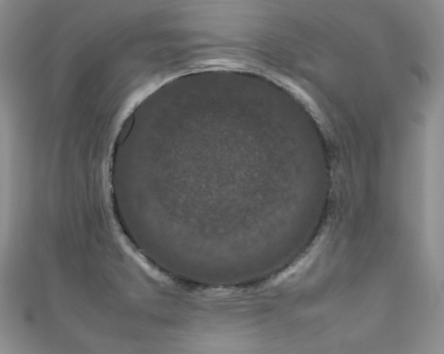 X0000111191373200907011403