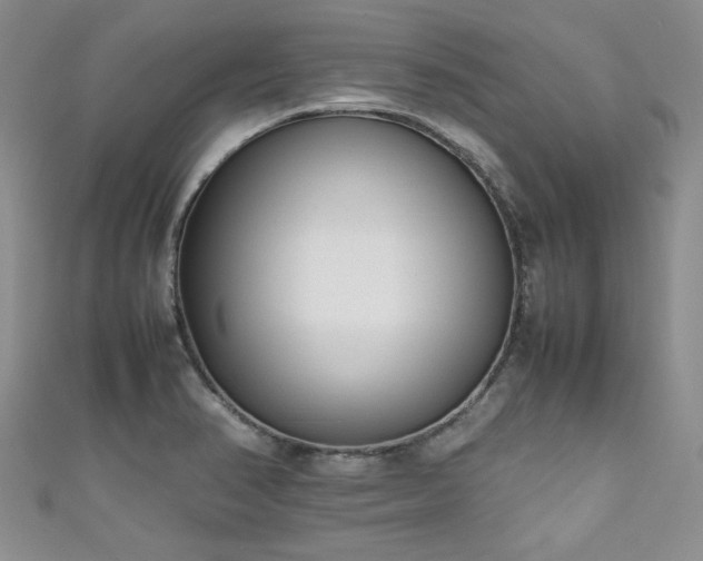 X0000111191374200907011403