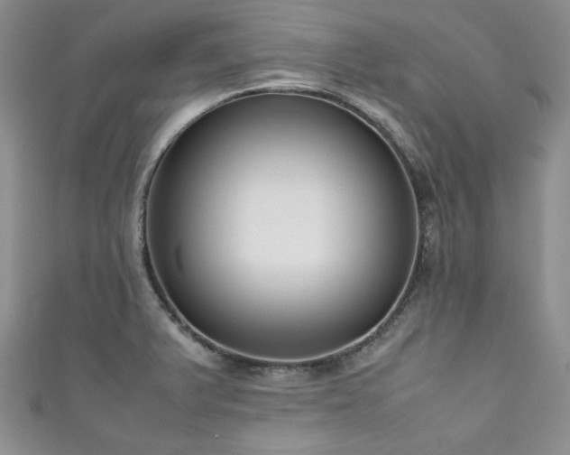 X0000111191375200907011403