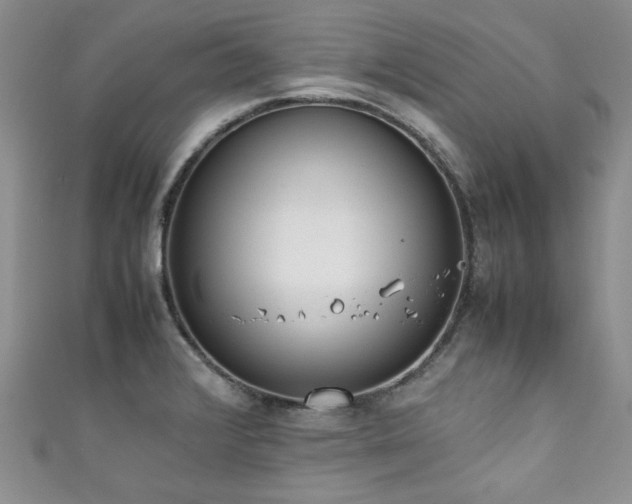 X0000111191376200907011403