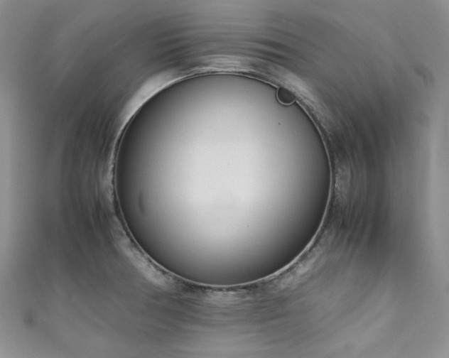 X0000111191378200907011403