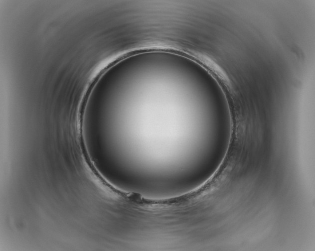 X0000111191380200907011403