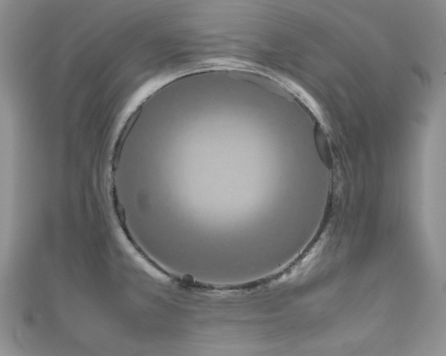 X0000111191381200907011403