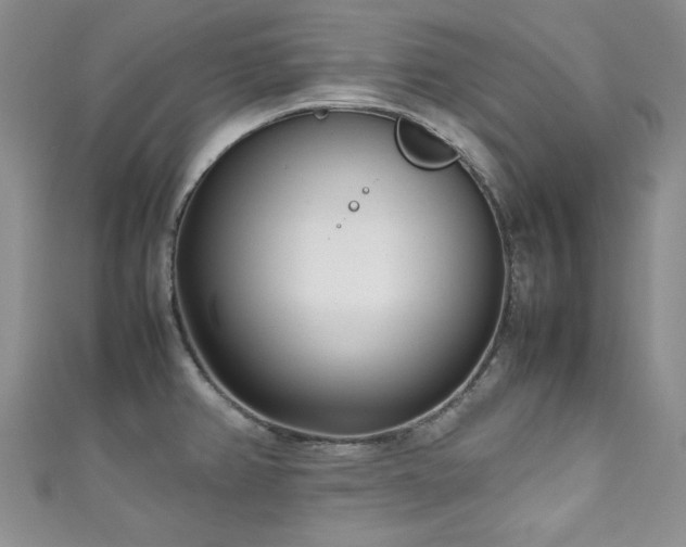 X0000111191382200907011403