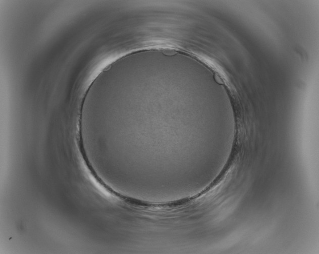 X0000111191383200907011403