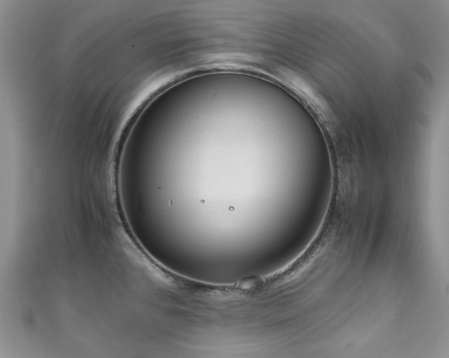 X0000111191384200907011403