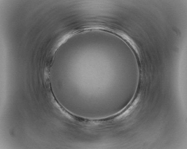 X0000111191385200907011403