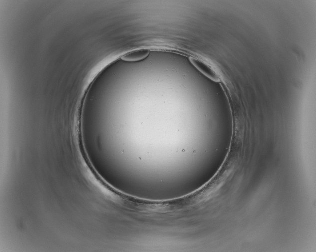 X0000111191387200907011403