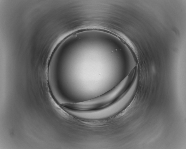 X0000111191388200907011403