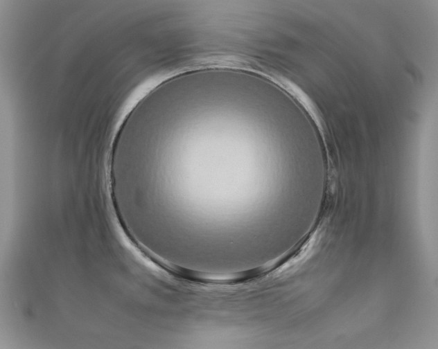 X0000111191389200907011403