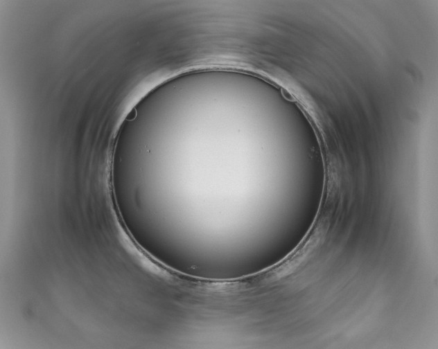 X0000111191390200907011403