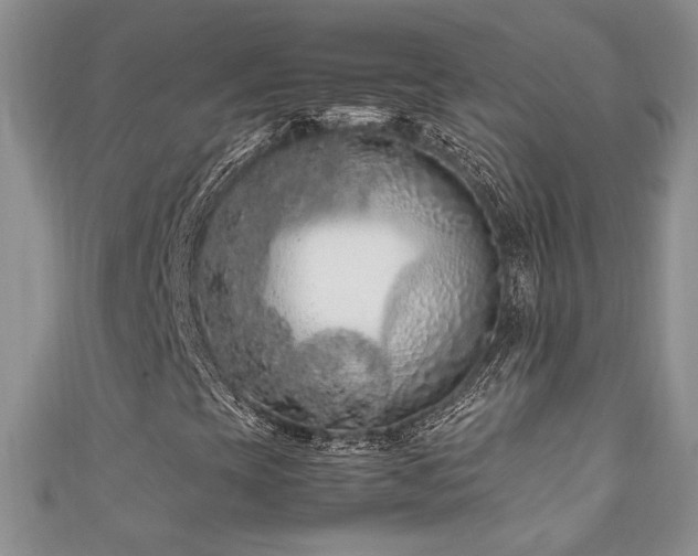 X0000111191393200907011402